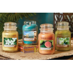 Yankee Candles $29.99